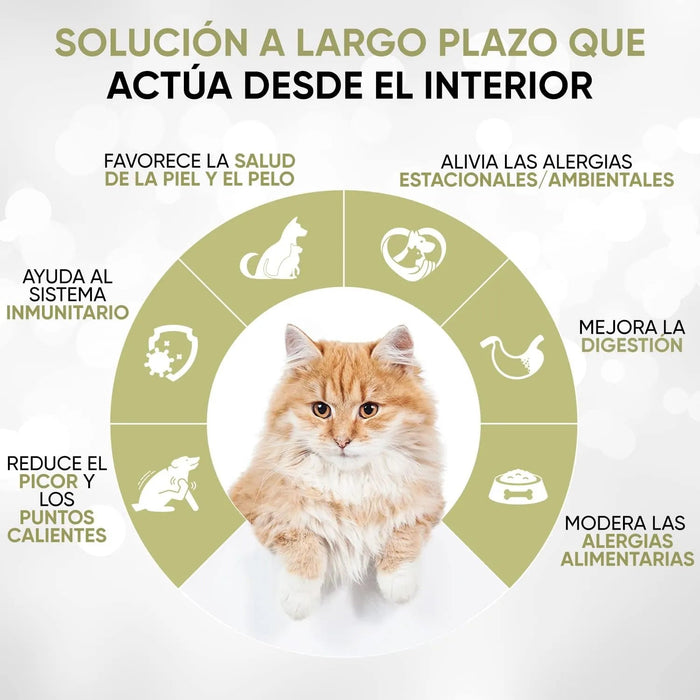 Gotas anti - comichão para cães e gatos 250 ml - ação eficaz contra a comichão, ideal para alergias a ervas, pólen e alimentos dos seus animais de estimação, alivia a comichão em gatos e cães - PetDoctors - Loja Online