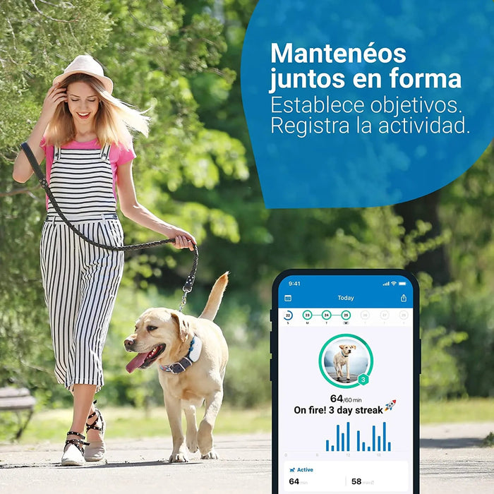GPS para Coleira para Cães (2021) - Saiba aonde está o seu cão - Localização e Seguimento de Actividade permanente - PetDoctors - Loja Online