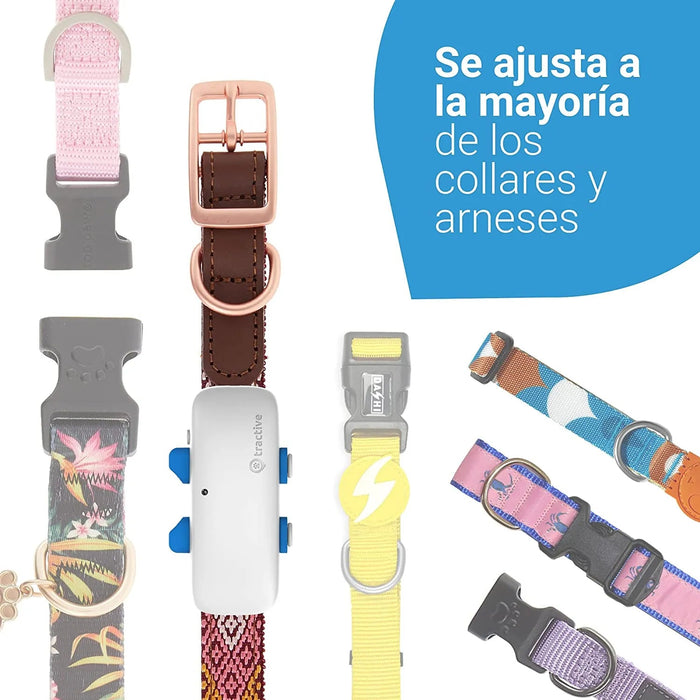 GPS para Coleira para Cães (2021) - Saiba aonde está o seu cão - Localização e Seguimento de Actividade permanente - PetDoctors - Loja Online