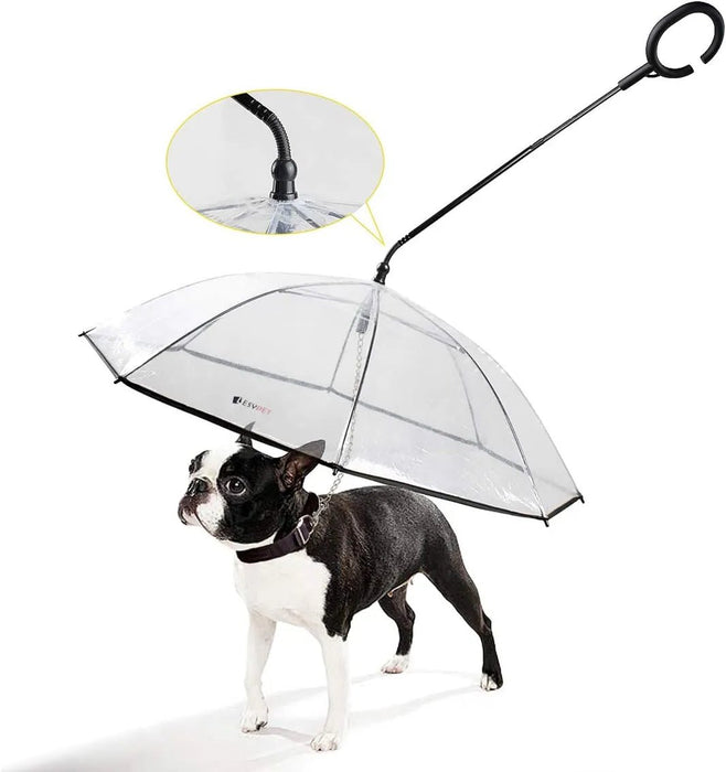 Guarda - chuva com trela, para cães, para passeios ao ar livre com chuva - PetDoctors - Loja Online