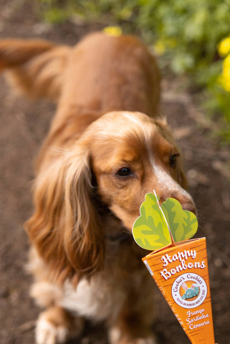 Happy Bonbons - Petiscos crocantes de peru e sardinha para cães - PetDoctors - Loja Online