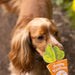 Happy Bonbons - Petiscos crocantes de peru e sardinha para cães - PetDoctors - Loja Online