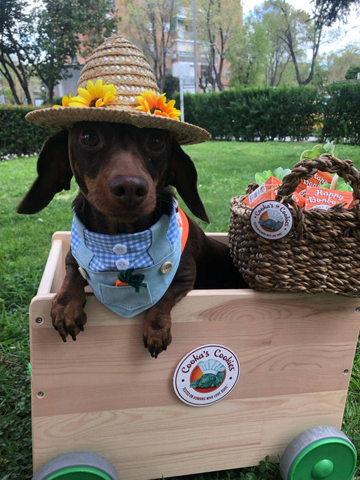 Happy Bonbons - Petiscos crocantes de peru e sardinha para cães - PetDoctors - Loja Online