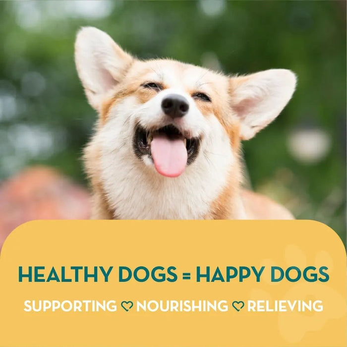 Happy Joint 100% Cuidado natural para cães e gatos - com açafrão e mexilhão de lábios verdes - melhor que os suplementos para articulações com glucosamina (160 Doses) - PetDoctors - Loja Online