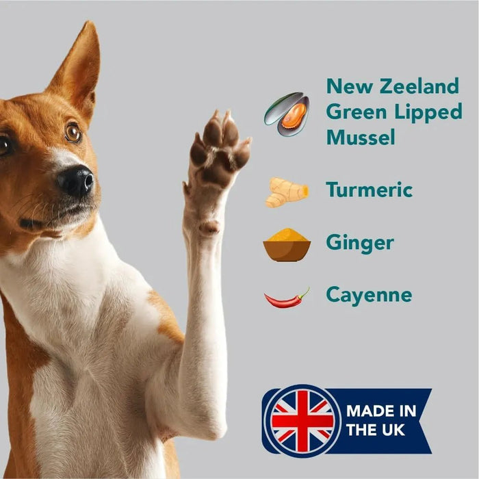 Happy Joint 100% Cuidado natural para cães e gatos - com açafrão e mexilhão de lábios verdes - melhor que os suplementos para articulações com glucosamina (160 Doses) - PetDoctors - Loja Online
