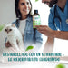 Hello Jack Champô para cão anti - comichão, natural - alívio rápido para pele sensível com óleo de árvore de chá - pelagem com brilho e suavidade - PetDoctors - Loja Online