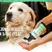 Hello Jack Champô para cão anti - comichão, natural - alívio rápido para pele sensível com óleo de árvore de chá - pelagem com brilho e suavidade - PetDoctors - Loja Online
