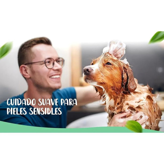 Hello Jack Champô para cão anti - comichão, natural - alívio rápido para pele sensível com óleo de árvore de chá - pelagem com brilho e suavidade - PetDoctors - Loja Online