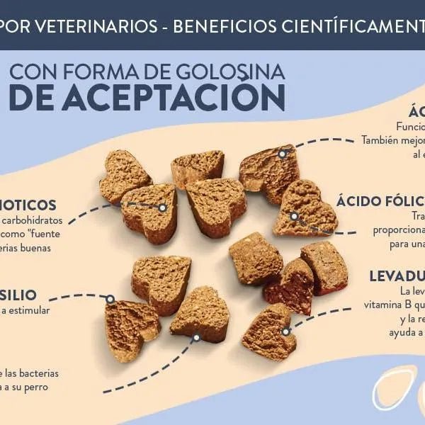 Hello Jack Digest Suplemento para cães - Guloseimas mastigáveis para cães para digestão, saúde intestinal e consistência das fezes - sabor de manteiga de amendoim - PetDoctors - Loja Online