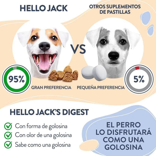Hello Jack Digest Suplemento para cães - Guloseimas mastigáveis para cães para digestão, saúde intestinal e consistência das fezes - sabor de manteiga de amendoim - PetDoctors - Loja Online