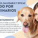 Hello Jack Digest Suplemento para cães - Guloseimas mastigáveis para cães para digestão, saúde intestinal e consistência das fezes - sabor de manteiga de amendoim - PetDoctors - Loja Online