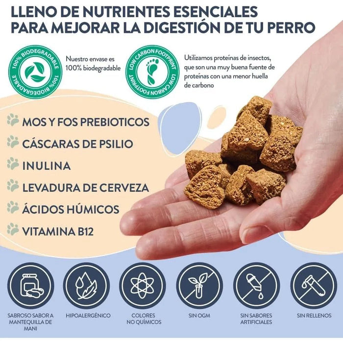 Hello Jack Digest Suplemento para cães - Guloseimas mastigáveis para cães para digestão, saúde intestinal e consistência das fezes - sabor de manteiga de amendoim - PetDoctors - Loja Online