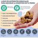 Hello Jack Digest Suplemento para cães - Guloseimas mastigáveis para cães para digestão, saúde intestinal e consistência das fezes - sabor de manteiga de amendoim - PetDoctors - Loja Online