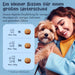 Hello Jack Limpeza natural para mau hálito de cães - até 4 meses de fornecimento - limpa os dentes e ajuda a eliminar o mau hálito do cão - evita o tártaro - PetDoctors - Loja Online
