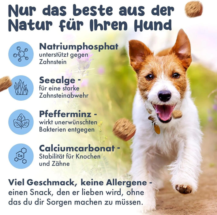 Hello Jack Limpeza natural para mau hálito de cães - até 4 meses de fornecimento - limpa os dentes e ajuda a eliminar o mau hálito do cão - evita o tártaro - PetDoctors - Loja Online