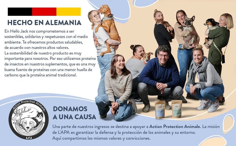 Hello Jack Protect Suplemento diário para cães - guloseimas misturáveis para apoio imunológico, vitalidade e saúde em geral - sabor de manteiga de amendoim - PetDoctors - Loja Online