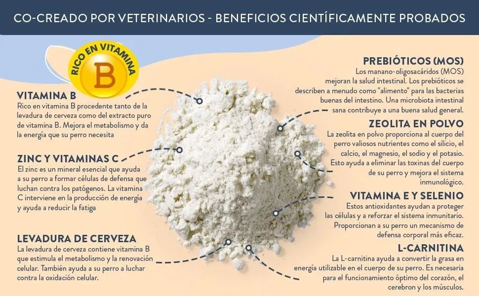 Hello Jack Protect Suplemento diário para cães - guloseimas misturáveis para apoio imunológico, vitalidade e saúde em geral - sabor de manteiga de amendoim - PetDoctors - Loja Online