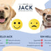 Hello Jack Relax Suplemento diário para cães - tranquilizante mastigáveis para cães e cachorros, para aliviar o stress e o equilíbrio emocional - sabor de manteiga de amendoim - PetDoctors - Loja Online