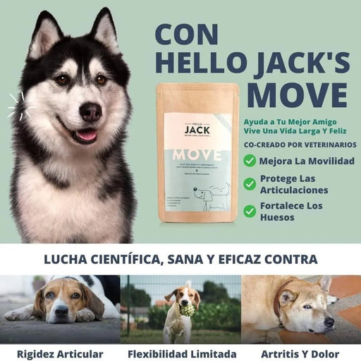 Hello Jack Suplemento para cão mobilidade / movimento (200 g) - para articulações e ossos para cães - condroprotetor cães com mexilhões de lábios verdes, glucosamina, condroitina, açafrão & ômega 3 - PetDoctors - Loja Online