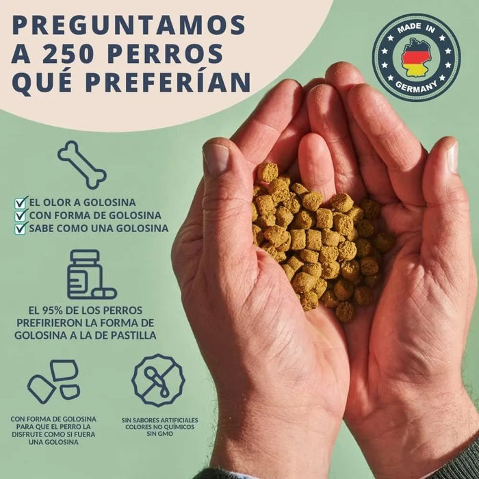 Hello Jack Suplemento para cão mobilidade / movimento (200 g) - para articulações e ossos para cães - condroprotetor cães com mexilhões de lábios verdes, glucosamina, condroitina, açafrão & ômega 3 - PetDoctors - Loja Online