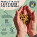 Hello Jack Suplemento para cão mobilidade / movimento (200 g) - para articulações e ossos para cães - condroprotetor cães com mexilhões de lábios verdes, glucosamina, condroitina, açafrão & ômega 3 - PetDoctors - Loja Online