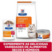 Hill's Prescription Diet c/d Urinary Stress ensopado com frango para gatos em lata com 82 gramas - PetDoctors - Loja Online
