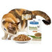 Hills Prescription Diet Feline Metabolic | Wet (Saqueta) | 12 x 85 g - PetDoctors - Loja Online