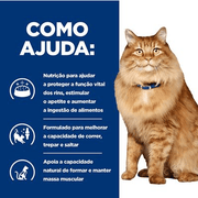 Hill's Prescription Diet k/d + Mobility com frango Ração para Gatos 1,5 Kg - PetDoctors - Loja Online