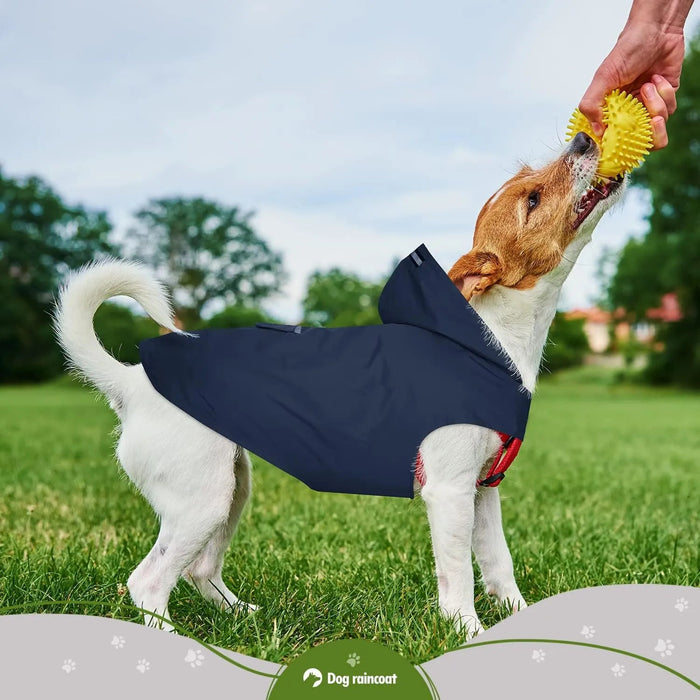 Impermeável para cães médios e grandes com capuz e gola, tiras refletoras de segurança, tecido ultraleve, respirável - PetDoctors - Loja Online