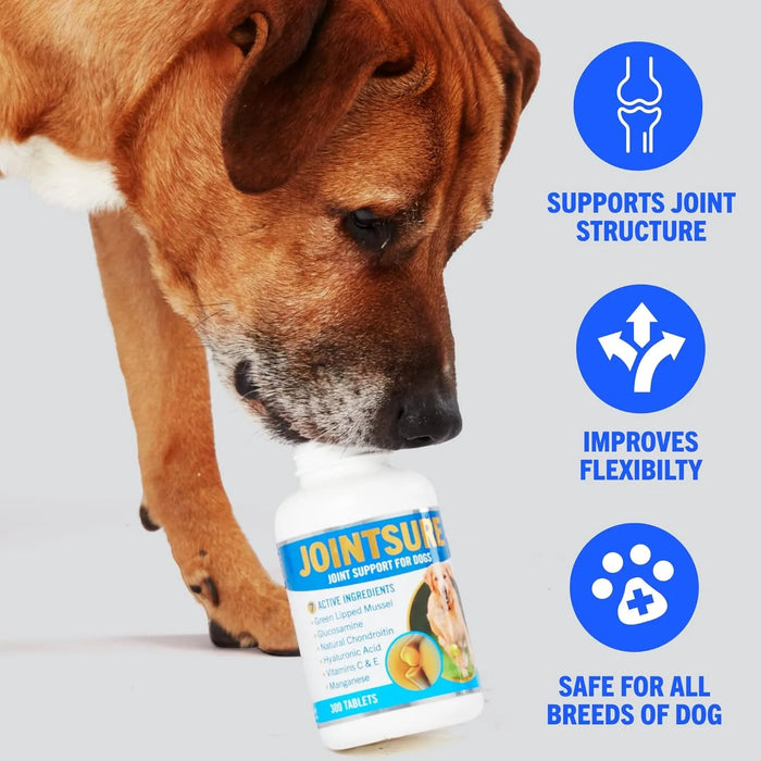JOINTSURE Condroprotetor cães I com grande concentração de mexilhão lábios verdes, glucosamina e condroitina natural I suplemento anti - inflamatório para articulações I 60 I 120 I 300 comprimidos - PetDoctors - Loja Online