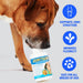 JOINTSURE Condroprotetor cães I com grande concentração de mexilhão lábios verdes, glucosamina e condroitina natural I suplemento anti - inflamatório para articulações I 60 I 120 I 300 comprimidos - PetDoctors - Loja Online