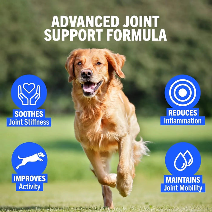 JOINTSURE Condroprotetor cães I com grande concentração de mexilhão lábios verdes, glucosamina e condroitina natural I suplemento anti - inflamatório para articulações I 60 I 120 I 300 comprimidos - PetDoctors - Loja Online