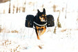 Julius - K9 - Bolsas Laterais para K9 - Powerharness - PetDoctors - Loja Online