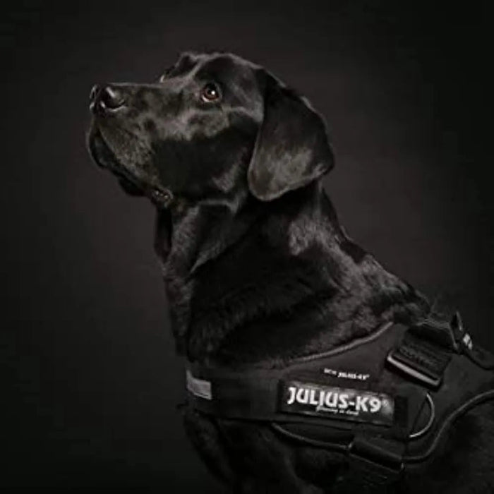 JULIUS - K9 Peitoral / Arnês IDC Powerharness com Aros Laterais - PetDoctors - Loja Online
