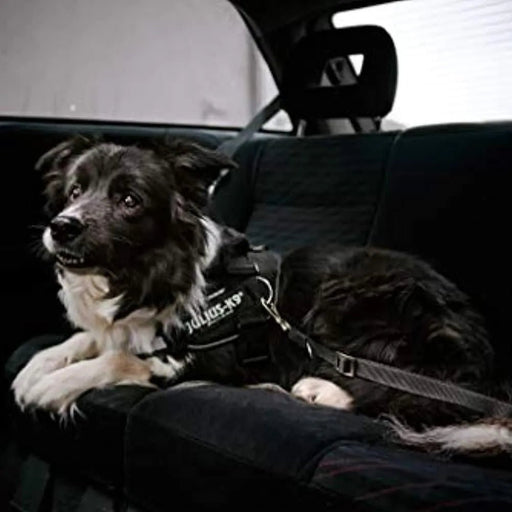 JULIUS - K9 Peitoral / Arnês IDC Powerharness com Aros Laterais - PetDoctors - Loja Online