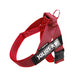 JULIUS-K9 Peitoral / Arnês para Cães IDC belt harness com Controlo dorsal em Y - PetDoctors - Loja Online
