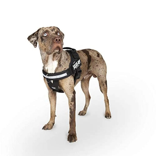 JULIUS - K9 Peitoral / Arnês para Cães IDC Powerharness com Controle Frontal em Y, Negro - PetDoctors - Loja Online