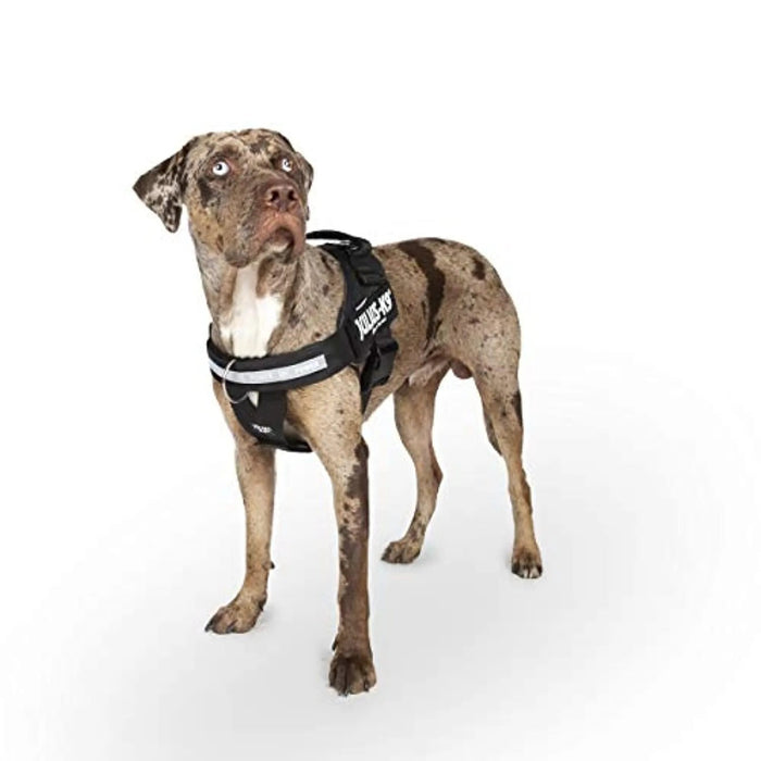 JULIUS - K9 Peitoral / Arnês para Cães IDC Powerharness com Controle Frontal em Y, Negro - PetDoctors - Loja Online