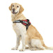 JULIUS-K9 Peitoral / Arnês para Cães IDC Powerharness com Controlo dorsal em Y - PetDoctors - Loja Online