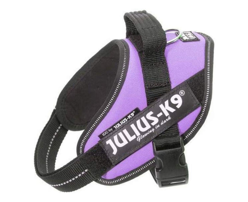JULIUS-K9 IDC Powerharness-Geschirr für Hunde mit Y-förmiger Rückenführung