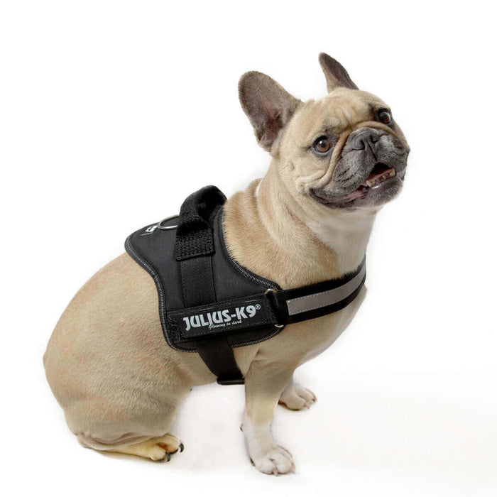 JULIUS-K9 IDC Powerharness-Geschirr für Hunde mit Y-förmiger Rückenführung