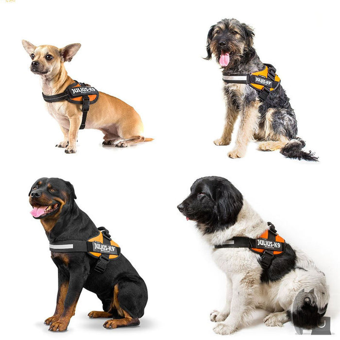 JULIUS-K9 IDC Powerharness-Geschirr für Hunde mit Y-förmiger Rückenführung