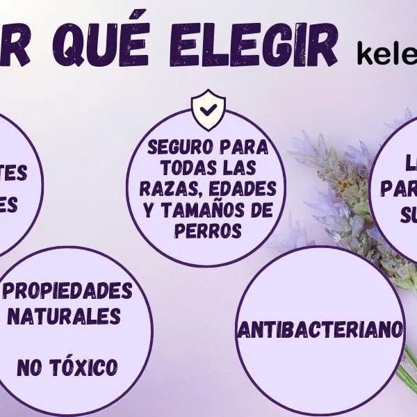 Kelebs Anticomichão | champô sólido para cães, para pele sensível e dermatite | anti - comichão com óleo de lavanda calmante, conjunto de 3 barras, sabão natural BIO e vegano - PetDoctors - Loja Online