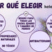 Kelebs Anticomichão | champô sólido para cães, para pele sensível e dermatite | anti - comichão com óleo de lavanda calmante, conjunto de 3 barras, sabão natural BIO e vegano - PetDoctors - Loja Online