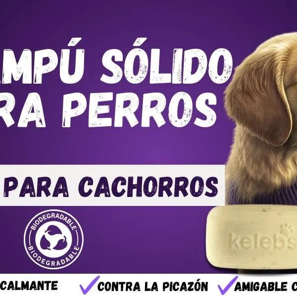 Kelebs Anticomichão | champô sólido para cães, para pele sensível e dermatite | anti - comichão com óleo de lavanda calmante, conjunto de 3 barras, sabão natural BIO e vegano - PetDoctors - Loja Online