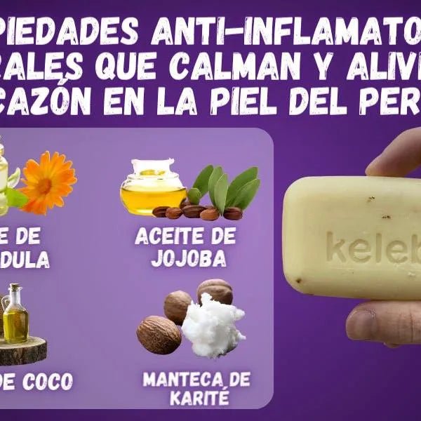Kelebs Anticomichão | champô sólido para cães, para pele sensível e dermatite | anti - comichão com óleo de lavanda calmante, conjunto de 3 barras, sabão natural BIO e vegano - PetDoctors - Loja Online