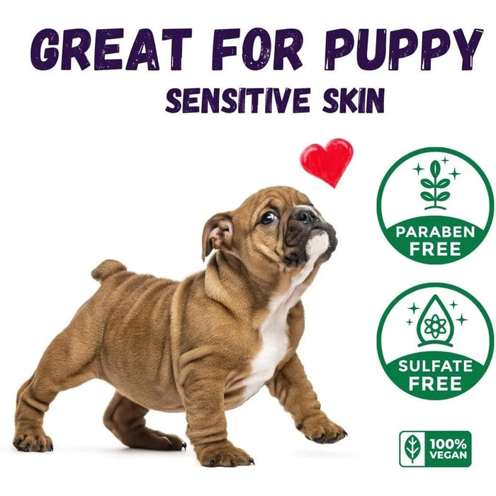Kelebs Anticomichão | champô sólido para cães, para pele sensível e dermatite | anti - comichão com óleo de lavanda calmante, conjunto de 3 barras, sabão natural BIO e vegano - PetDoctors - Loja Online