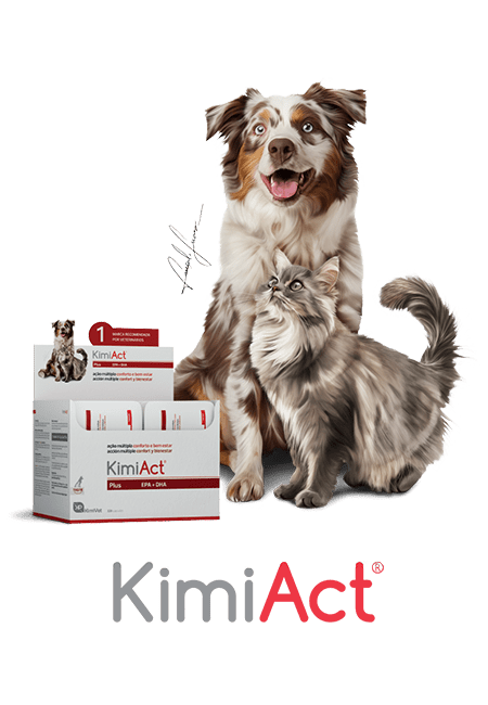 Kimiact Plus - EPA + DHA (envelopes de 20 cápsulas) - PetDoctors - Loja Online