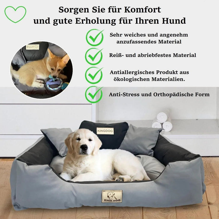 KING DOG BED - Camas de Luxo para Cães, Personalizáveis com nome do Cão, Impermeáveis - PetDoctors - Loja Online
