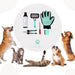 Kit 5 em 1 de limpeza para Cães e Gatos, com Champô, Luva, Escova de dupla face, Lima e Corta - unhas - PetDoctors - Loja Online